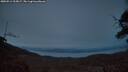 ./images/calvert/fitz-hugh-hecate/20250514/fitz-hugh-hecate20250514_215007M.jpg