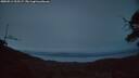 ./images/calvert/fitz-hugh-hecate/20250514/fitz-hugh-hecate20250514_215507M.jpg