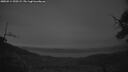 ./images/calvert/fitz-hugh-hecate/20250514/fitz-hugh-hecate20250514_220508M.jpg