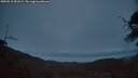./images/calvert/fitz-hugh-hecate/20250515/fitz-hugh-hecate20250515_051009M.jpg