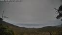 ./images/calvert/fitz-hugh-hecate/20250515/fitz-hugh-hecate20250515_060510M.jpg