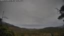 ./images/calvert/fitz-hugh-hecate/20250515/fitz-hugh-hecate20250515_061008M.jpg