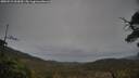 ./images/calvert/fitz-hugh-hecate/20250515/fitz-hugh-hecate20250515_062009M.jpg