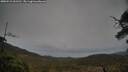 ./images/calvert/fitz-hugh-hecate/20250515/fitz-hugh-hecate20250515_062510M.jpg