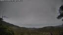 ./images/calvert/fitz-hugh-hecate/20250515/fitz-hugh-hecate20250515_063510M.jpg