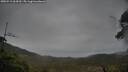 ./images/calvert/fitz-hugh-hecate/20250515/fitz-hugh-hecate20250515_064510M.jpg