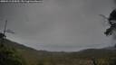 ./images/calvert/fitz-hugh-hecate/20250515/fitz-hugh-hecate20250515_065009M.jpg