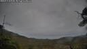 ./images/calvert/fitz-hugh-hecate/20250515/fitz-hugh-hecate20250515_065510M.jpg