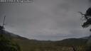 ./images/calvert/fitz-hugh-hecate/20250515/fitz-hugh-hecate20250515_070508M.jpg
