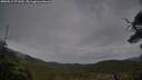 ./images/calvert/fitz-hugh-hecate/20250515/fitz-hugh-hecate20250515_071010M.jpg