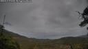 ./images/calvert/fitz-hugh-hecate/20250515/fitz-hugh-hecate20250515_071510M.jpg