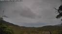 ./images/calvert/fitz-hugh-hecate/20250515/fitz-hugh-hecate20250515_072010M.jpg