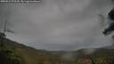 ./images/calvert/fitz-hugh-hecate/20250515/fitz-hugh-hecate20250515_072509M.jpg
