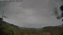 ./images/calvert/fitz-hugh-hecate/20250515/fitz-hugh-hecate20250515_073508M.jpg