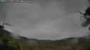./images/calvert/fitz-hugh-hecate/20250515/fitz-hugh-hecate20250515_074509M.jpg