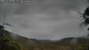 ./images/calvert/fitz-hugh-hecate/20250515/fitz-hugh-hecate20250515_075010M.jpg