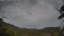 ./images/calvert/fitz-hugh-hecate/20250515/fitz-hugh-hecate20250515_075509M.jpg