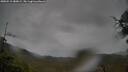 ./images/calvert/fitz-hugh-hecate/20250515/fitz-hugh-hecate20250515_080009M.jpg