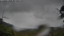 ./images/calvert/fitz-hugh-hecate/20250515/fitz-hugh-hecate20250515_080508M.jpg