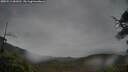 ./images/calvert/fitz-hugh-hecate/20250515/fitz-hugh-hecate20250515_081011M.jpg