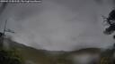 ./images/calvert/fitz-hugh-hecate/20250515/fitz-hugh-hecate20250515_081510M.jpg