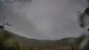 ./images/calvert/fitz-hugh-hecate/20250515/fitz-hugh-hecate20250515_083010M.jpg