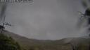 ./images/calvert/fitz-hugh-hecate/20250515/fitz-hugh-hecate20250515_083509M.jpg