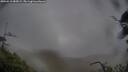 ./images/calvert/fitz-hugh-hecate/20250515/fitz-hugh-hecate20250515_085008M.jpg