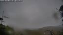 ./images/calvert/fitz-hugh-hecate/20250515/fitz-hugh-hecate20250515_090010M.jpg