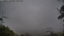 ./images/calvert/fitz-hugh-hecate/20250515/fitz-hugh-hecate20250515_090510M.jpg