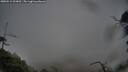 ./images/calvert/fitz-hugh-hecate/20250515/fitz-hugh-hecate20250515_093011M.jpg