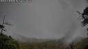 ./images/calvert/fitz-hugh-hecate/20250515/fitz-hugh-hecate20250515_095009M.jpg