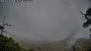 ./images/calvert/fitz-hugh-hecate/20250515/fitz-hugh-hecate20250515_100010M.jpg