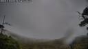 ./images/calvert/fitz-hugh-hecate/20250515/fitz-hugh-hecate20250515_100509M.jpg