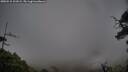 ./images/calvert/fitz-hugh-hecate/20250515/fitz-hugh-hecate20250515_101009M.jpg