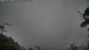 ./images/calvert/fitz-hugh-hecate/20250515/fitz-hugh-hecate20250515_102010M.jpg
