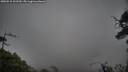 ./images/calvert/fitz-hugh-hecate/20250515/fitz-hugh-hecate20250515_102510M.jpg