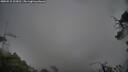 ./images/calvert/fitz-hugh-hecate/20250515/fitz-hugh-hecate20250515_103010M.jpg