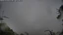 ./images/calvert/fitz-hugh-hecate/20250515/fitz-hugh-hecate20250515_103508M.jpg