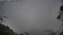 ./images/calvert/fitz-hugh-hecate/20250515/fitz-hugh-hecate20250515_104009M.jpg