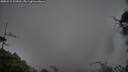 ./images/calvert/fitz-hugh-hecate/20250515/fitz-hugh-hecate20250515_104510M.jpg