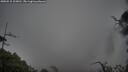 ./images/calvert/fitz-hugh-hecate/20250515/fitz-hugh-hecate20250515_105010M.jpg