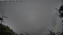 ./images/calvert/fitz-hugh-hecate/20250515/fitz-hugh-hecate20250515_105508M.jpg