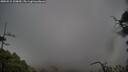 ./images/calvert/fitz-hugh-hecate/20250515/fitz-hugh-hecate20250515_110010M.jpg