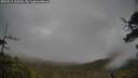 ./images/calvert/fitz-hugh-hecate/20250515/fitz-hugh-hecate20250515_111009M.jpg