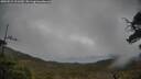 ./images/calvert/fitz-hugh-hecate/20250515/fitz-hugh-hecate20250515_111509M.jpg