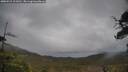 ./images/calvert/fitz-hugh-hecate/20250515/fitz-hugh-hecate20250515_112010M.jpg