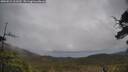 ./images/calvert/fitz-hugh-hecate/20250515/fitz-hugh-hecate20250515_112510M.jpg