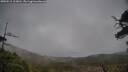 ./images/calvert/fitz-hugh-hecate/20250515/fitz-hugh-hecate20250515_113010M.jpg