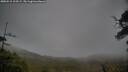 ./images/calvert/fitz-hugh-hecate/20250515/fitz-hugh-hecate20250515_115509M.jpg
